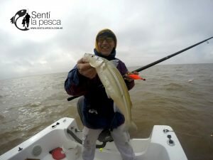 180807 PEJES DEL RIOPLA (11)
