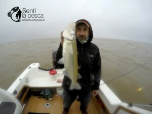 180807 PEJES DEL RIOPLA (12)