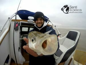 180807 PEJES DEL RIOPLA