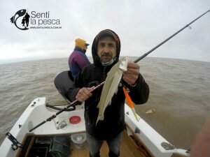180807 PEJES DEL RIOPLA (9)
