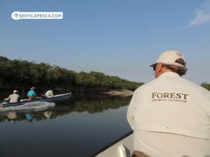 FOREST INDUMENTARIA OUTDOOR