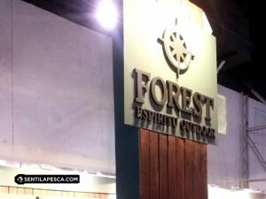 FOREST INDUMENTARIA OUTDOOR (5)