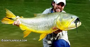 181004 PESCA EN LA SELVA dest