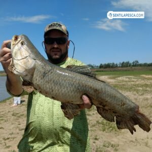 181011 Viene el agua, pero Rosario sigue de pesca3