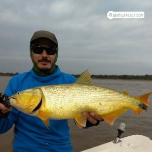 181011 Viene el agua, pero Rosario sigue de pesca4