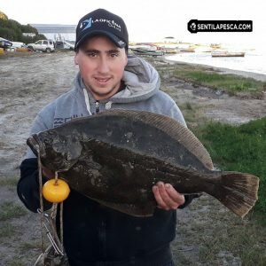 181016 LENGUADOS DE MARCHI1