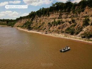 181017 ORO A LOS PIES DE LAS BARRANCAS