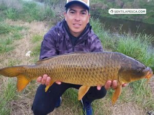 181017 UNDERCARP EN EL CARPODROMO5