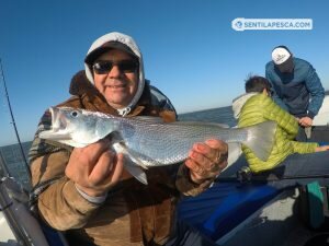 181018 EMBARCADOS EN ALBUFERA