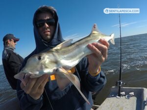 181018 EMBARCADOS EN ALBUFERA10