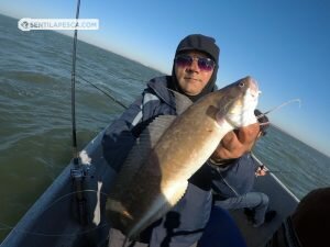 181018 EMBARCADOS EN ALBUFERA2