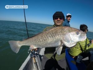181018 EMBARCADOS EN ALBUFERA3