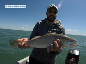 181018 EMBARCADOS EN ALBUFERA7