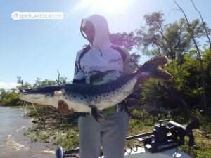 181018 PESCA CON POSADA BRILLO LUNA (6)