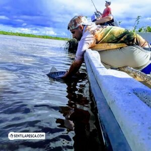 190318 EN BUSCA DEL SURUBI (6a)