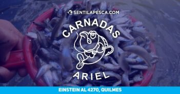 CARNADAS ARIEL DESTA