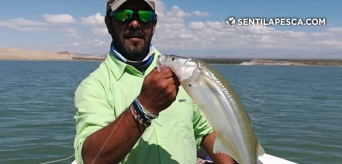 190403 ARRANCANDO LA TEMPORADA EN CUESTA DEL VIENTO dest