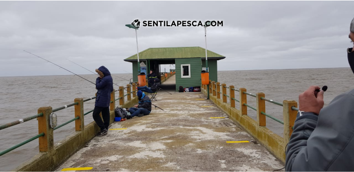 03/09/20 Protocolo para la pesca en el Pejerrey Club de Quilmes